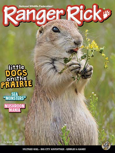 105-ranger-rick-magazine-subscription-1.jpg