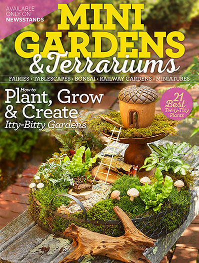 Mini Gardens & Terrariums