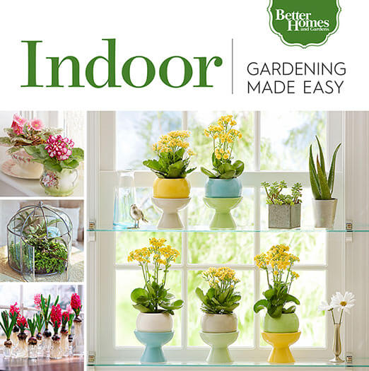 Gardening Made Easy: Indoor
