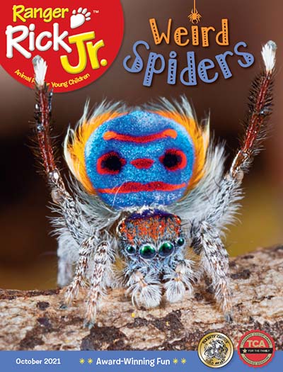 Ranger Rick Jr. Magazine Subscription 1 122-ranger-rick-jr-magazine-subscription-1.jpg