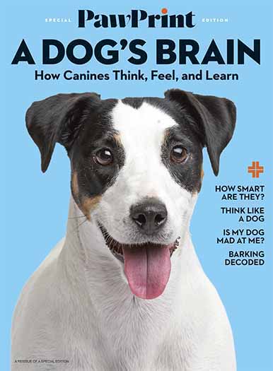 PawPrint: A Dog's Brain 1 195-pawprint-a-dog-s-brain-1.jpg