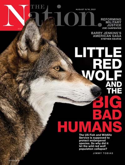 The Nation Magazine Subscription