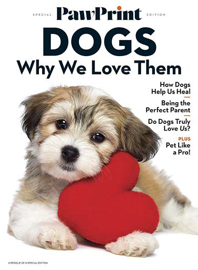 PawPrint: Why We Love Dogs